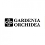 GARDENIA ORCHIDEA