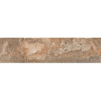 ABK FSL4915A FOSSIL BROWN LAPP RETT