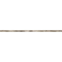 ABK FSR51210 FOSSIL LIST. FOGLIA ARGENTO