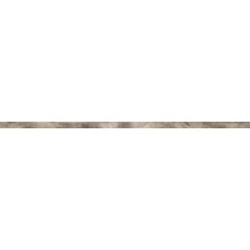 ABK FSR51210 FOSSIL LIST. FOGLIA ARGENTO