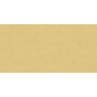 ABK 0008231 WIDE&STYLE MINI GINGER RET