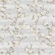 AdaWall VERA 1505-1