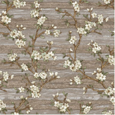 AdaWall VERA 1505-4