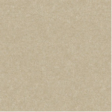 AdaWall DANTE 1404-5