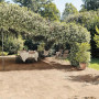 Atlas Concorde Aix Beige 22,5x45,4 20mm (APR2)