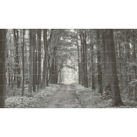 Tubądzin Obraz ścienny 42-elementowy All in white 1 359,8x209,8 Gat.1