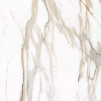 Allore Group Calacatta gold 600x600x8 mm I Full lapatto
