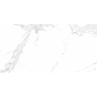 Allore Group Avenzo silver 1200x600x8 mm I Matt