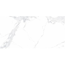 Allore Group Avenzo silver 1200x600x8 mm I Matt