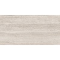 Allore Group Travertine silver 1200x600x8 mm I Matt