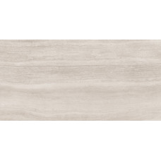 Allore Group Travertine silver 1200x600x8 mm I Matt