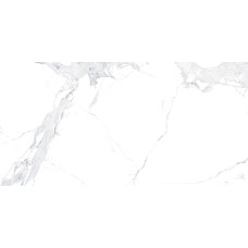 Allore Group Avenzo silver 1200x600x8 mm I Full lapatto