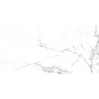 Allore Group Alcora Grey F P 600x1200x8 R Mat
