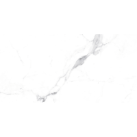 Allore Group Alcora Grey F P 600x1200x8 R Full Lappato
