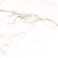 Allore Group Alcora Gold F P 600x600x8 I Full Lappato