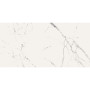 ALMERA CERAMICA-2 GQW8320P CARRARA LIGHT