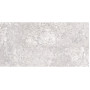 ALMERA CERAMICA (SPAIN) PANTHEON EV GRI CR MT (1 сорт)