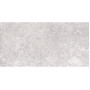 ALMERA CERAMICA (SPAIN) PANTHEON EV GRI CR MT (1 сорт)