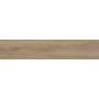 ALMERA CERAMICA (SPAIN) NINSBA CAMEL RECT.