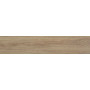 ALMERA CERAMICA (SPAIN) NINSBA CAMEL RECT.
