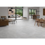 ALMERA CERAMICA (SPAIN) P.E. NORTHON LIGHT GREY MT RECT