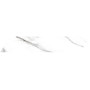ALMERA CERAMICA (SPAIN) CALACATTA WHITE CHV