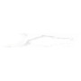 ALMERA CERAMICA (SPAIN) CALACATTA WHITE CHV