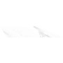 ALMERA CERAMICA (SPAIN) CALACATTA WHITE CHV