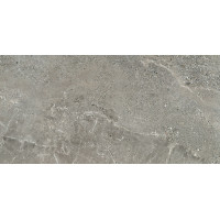 Domino Alveo grey LAP 119,8x59,8 Gat.1