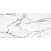 Azteca ANGELO SILK 120 SILVER 60x120