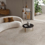 Ariana Anima Ghiaia Beige Ret 60х120 DECOR (PF60007919)