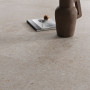 Ariana Anima Beige Ret 60х120 (PF60006048)