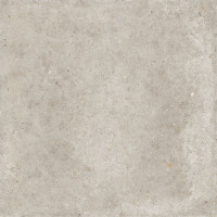 Ariana Anima Beige Ret 60х120 (PF60006048)