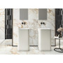 APE Ceramica CALACATTA GOLD POL. RECT
