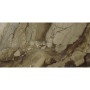 APE Ceramica REX BROWN POLISHED RECT.