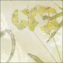 APE Ceramica KASBAH OCRE MIX