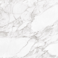 Argenta Ceramica CARRARA WHITE SHINE
