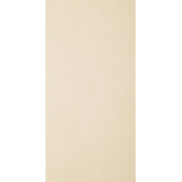 Paradyz ARKESIA BIANCO GRES REKT. MAT. 29,8X59,8 G1
