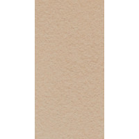 Paradyz ARKESIA BEIGE GRES STRUKTURA REKT. MAT. 29,8X59,8 G1