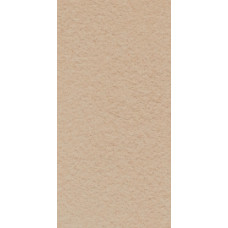 Paradyz ARKESIA BEIGE GRES STRUKTURA REKT. MAT. 29,8X59,8 G1