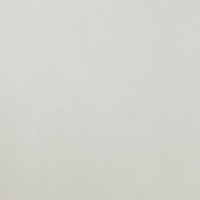 Atlas Concorde Arkshade White 60x60 matt 9mm (AUF8)