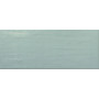 APE ARTS TURQUOISE