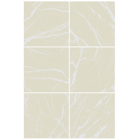 Ornamenta Artwork Marble Ivory 60x60 (AR6060MI)