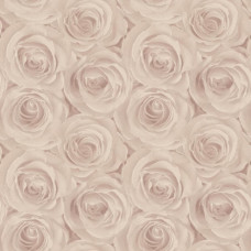 AS-Creation Roses 37644-2