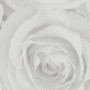 AS-Creation Roses 37644-4