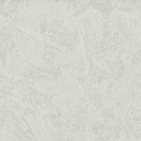 AS-Creation Perfect 38810-5