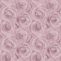 AS-Creation Roses 37644-1
