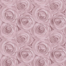 AS-Creation Roses 37644-1