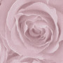 AS-Creation Roses 37644-1