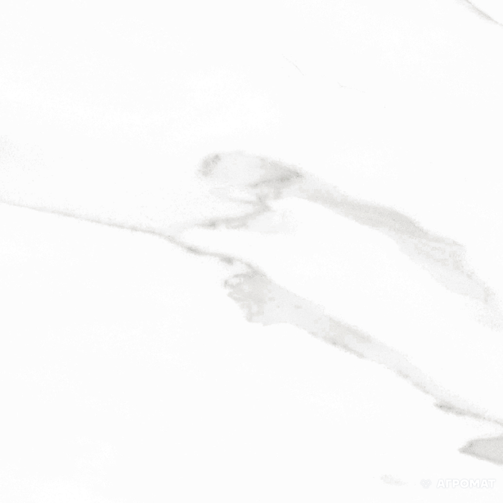 GEOTILES STATUARY BLANCO POL RECT (FAM 004)